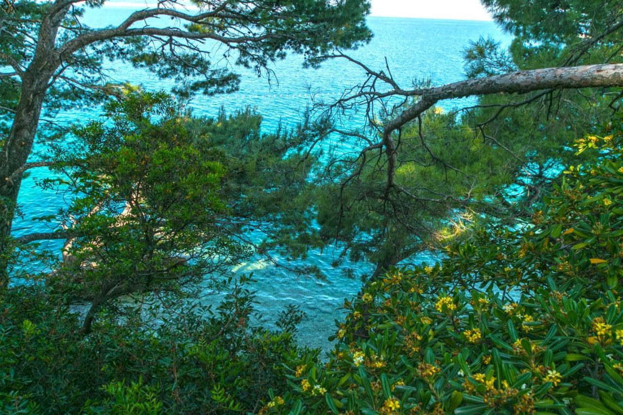 Apartments By The Sea Brela, Makarska - 16950 Eksteriør bilde